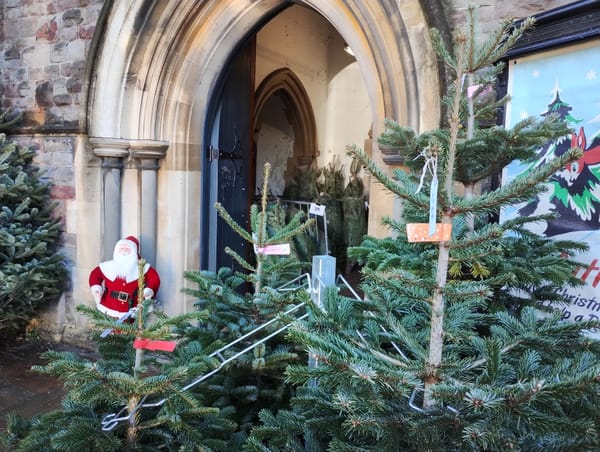 'Refutrees' raises thousands of pounds to support displaced people